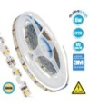 GLOBOSTAR® ZIGZAG 70042 Ταινία LED 6W-m 540lm-m 120° DC 12V IP20 60 x SMD2835 Chip-m Θερμό Λευκό 2700K Dimmable - Sanan SMD Chip - Μ500 x Π0.6 x Υ0.1cm - Ρολό 5 Μέτρων - 5 Χρόνια Εγγύηση